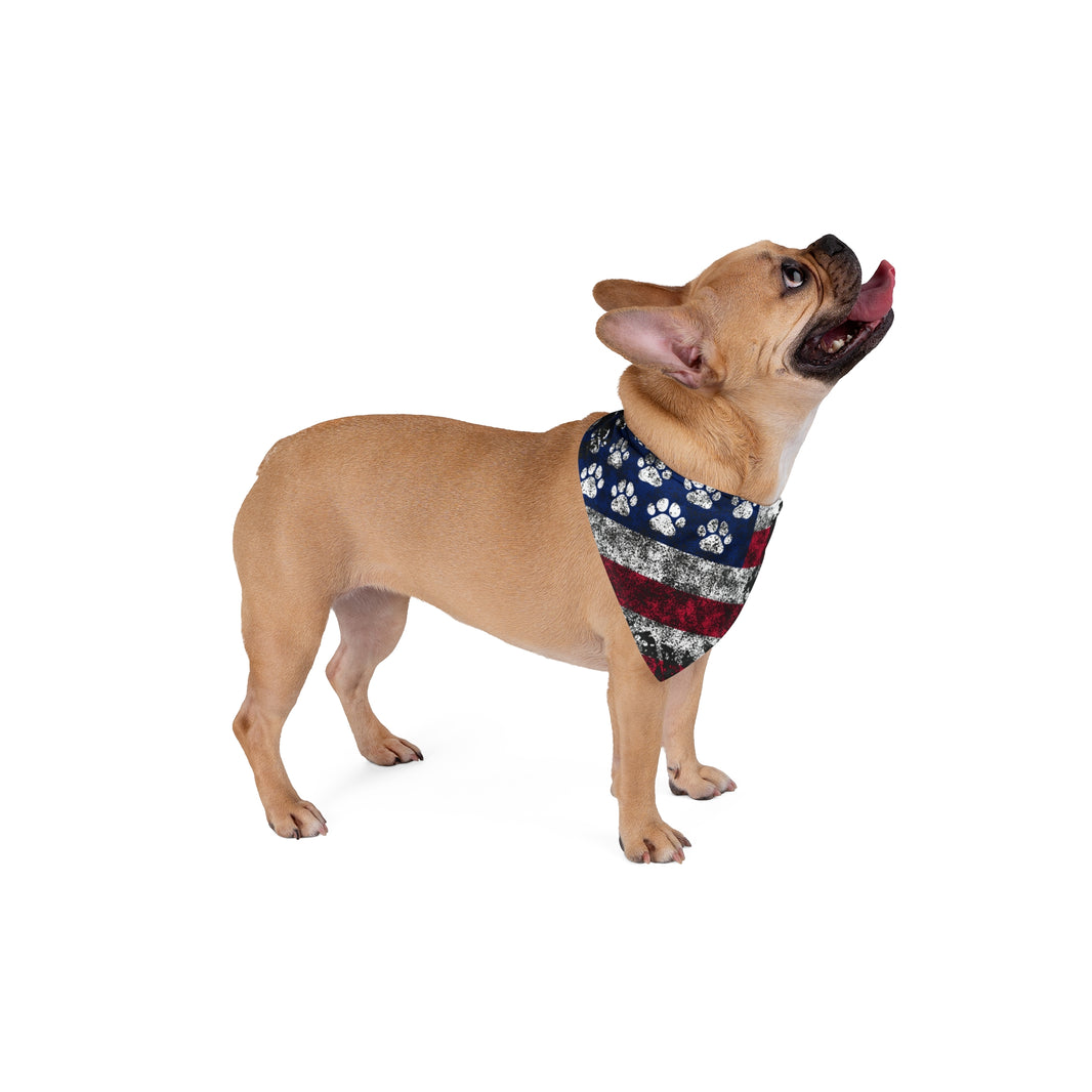 image Paws & Stripes Forever Dog Bandana