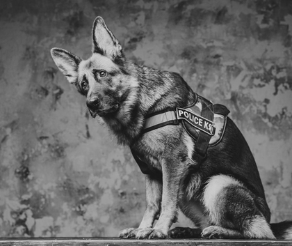 Thin Blue Line - Law Enforcement