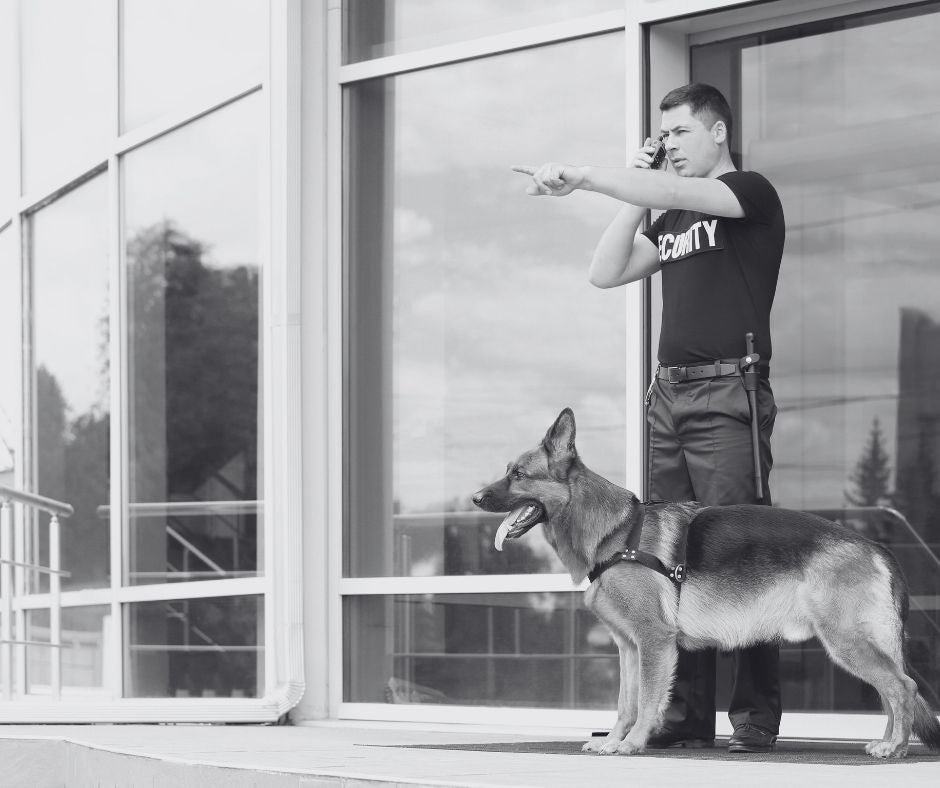 Thin Purple Line - Private Security