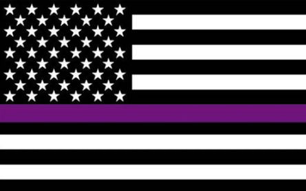 Thin Purple Line - Security