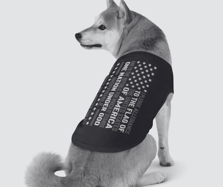 All Dog Apparel