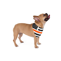 Thin Orange Line Flag Dog Bandana