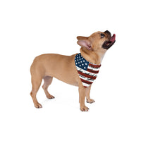 Pledge of Allegiance Dog Bandana