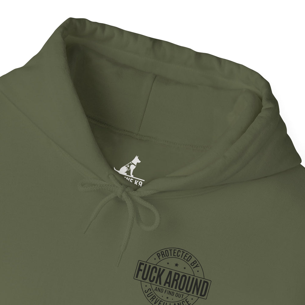 Thin Purple Line Hoodie – F*ck Around And Find Out